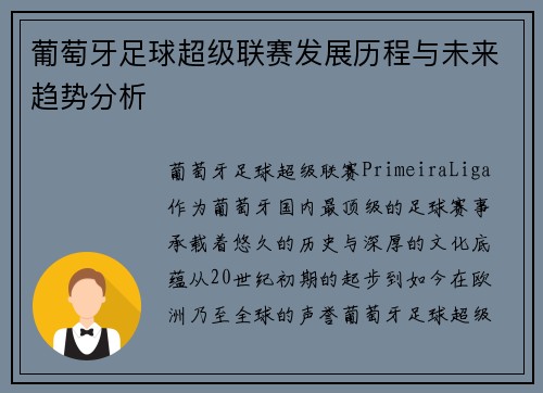 葡萄牙足球超级联赛发展历程与未来趋势分析